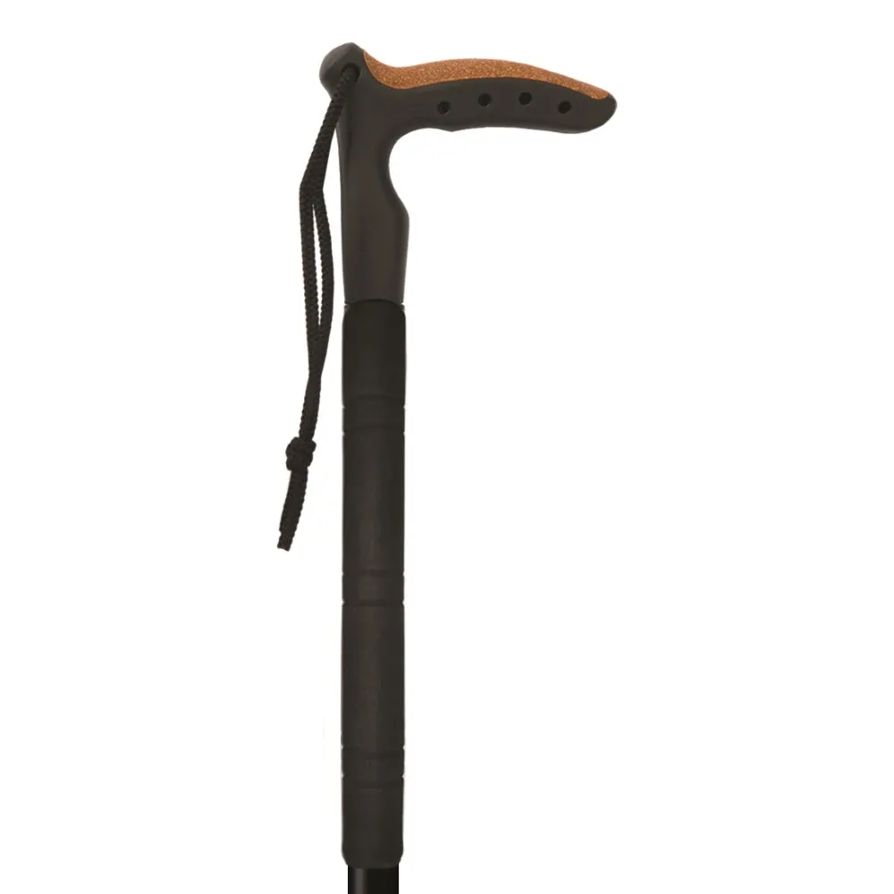 Fizan Classic Trekking Pole (Single Pole)