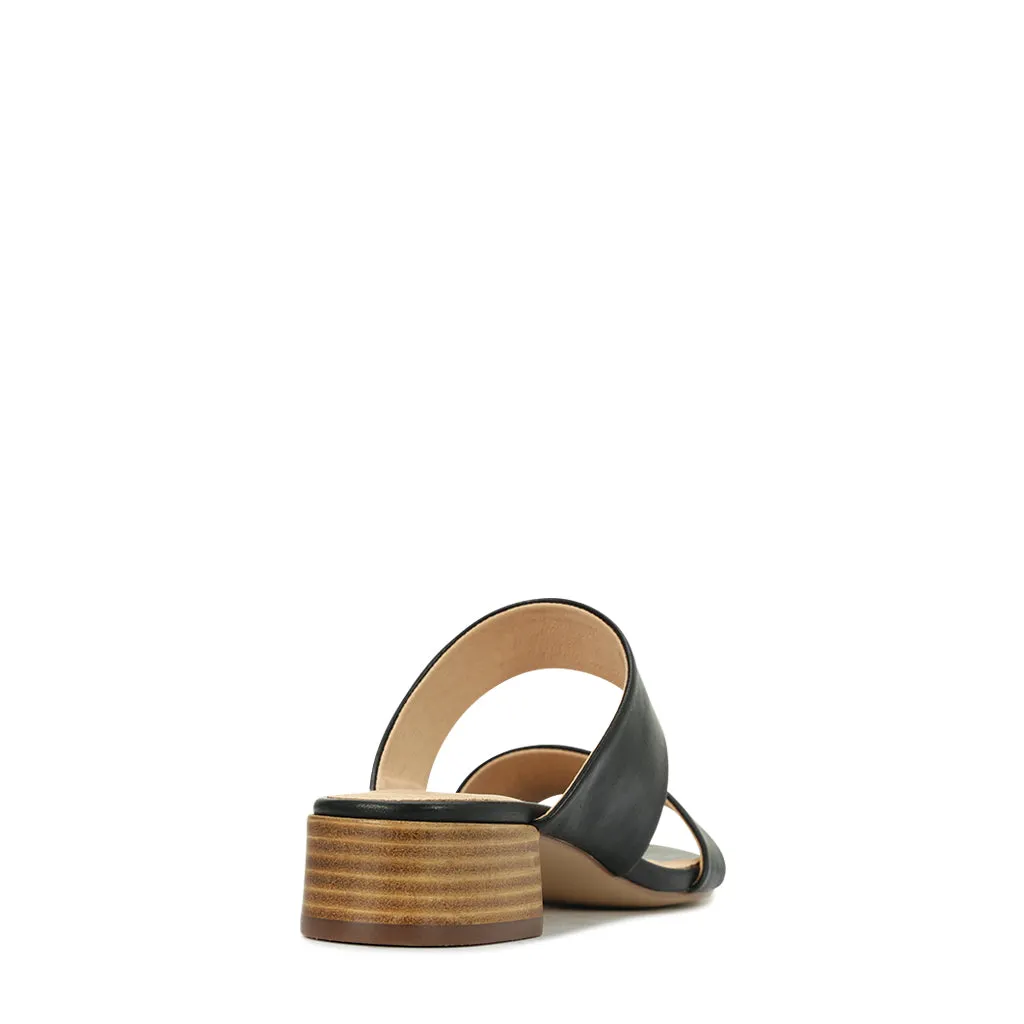 Zaya  Slides