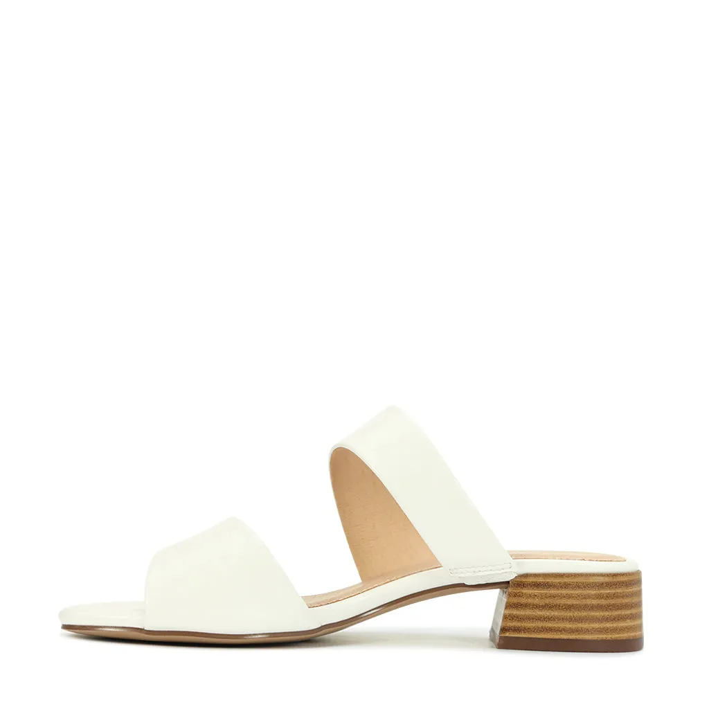 Zaya  Slides