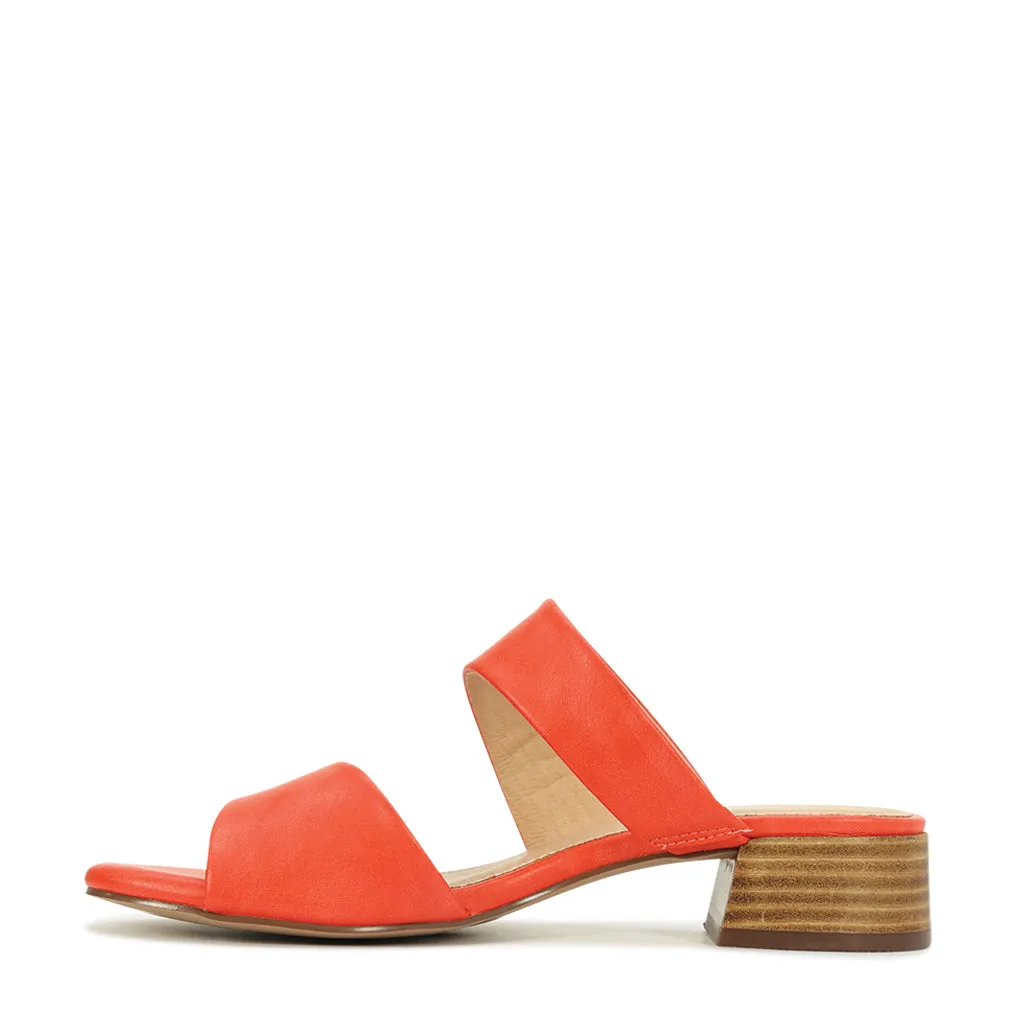 Zaya  Slides