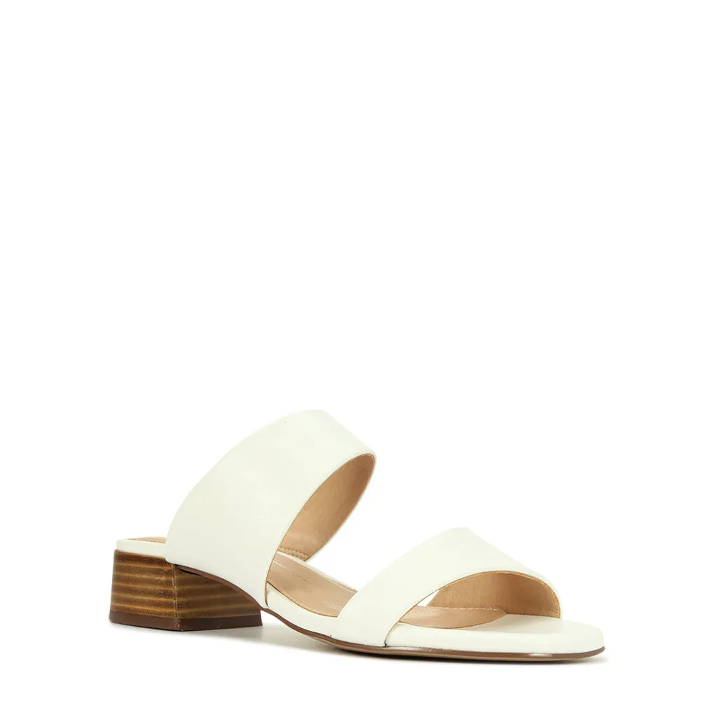 Zaya  Slides