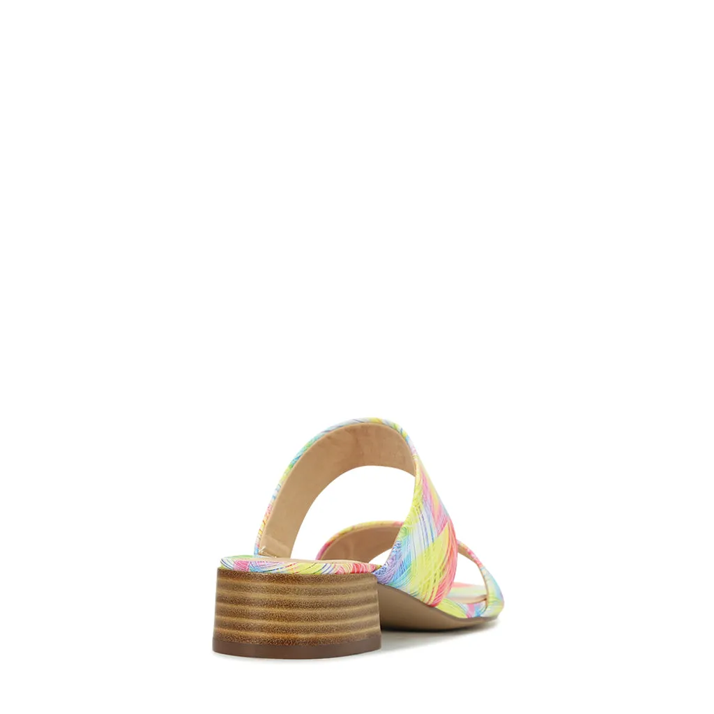 Zaya  Slides