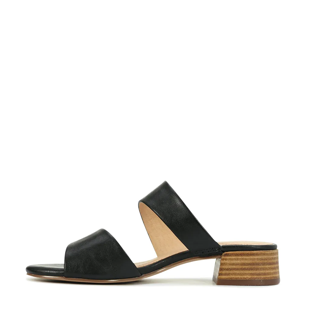 Zaya  Slides